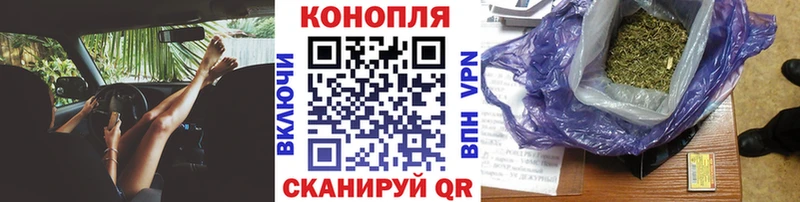 блэк спрут ССЫЛКА  Сортавала  Канабис план 